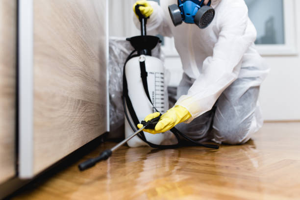 Best Emergency Pest Control  in Whitaker, PA