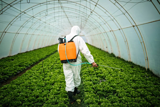 Best Pest Control Near Me in Whitaker, PA