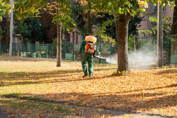 Best Pest Control for Homes  in Whitaker, PA