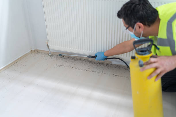 Best Affordable Pest Control Services  in Whitaker, PA