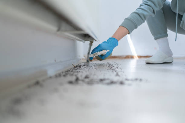 Best Wasp Removal Services  in Whitaker, PA